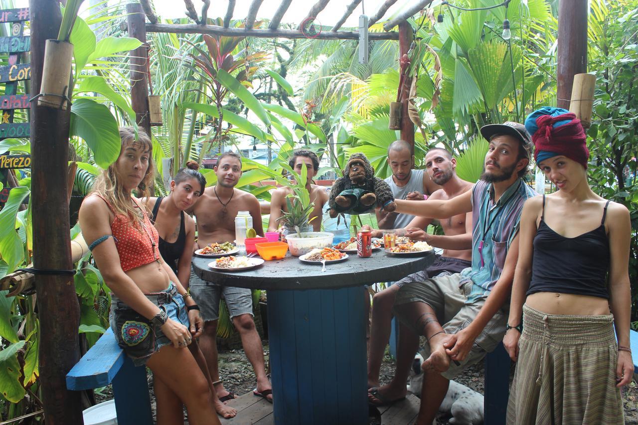 Coconut Hostel Bocas Town Exteriör bild
