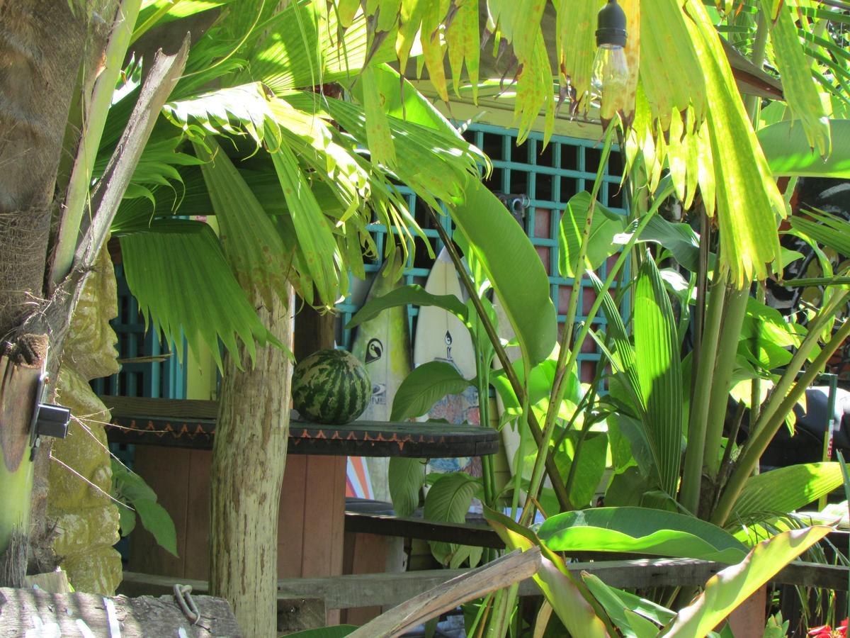 Coconut Hostel Bocas Town Exteriör bild