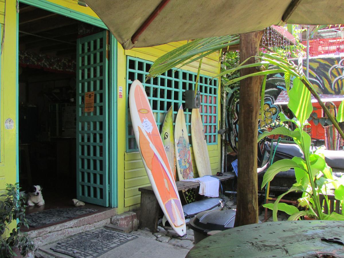 Coconut Hostel Bocas Town Exteriör bild