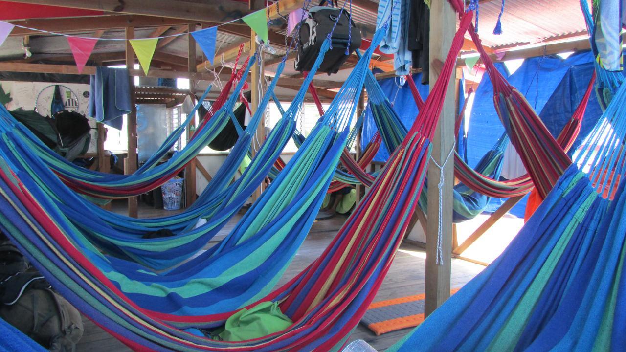 Coconut Hostel Bocas Town Exteriör bild