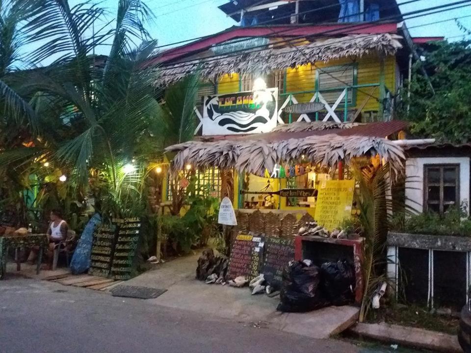Coconut Hostel Bocas Town Exteriör bild
