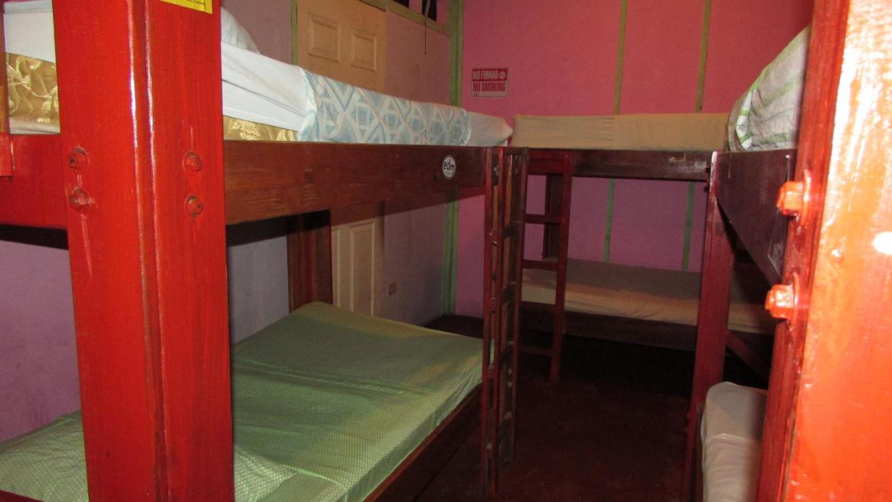 Coconut Hostel Bocas Town Exteriör bild