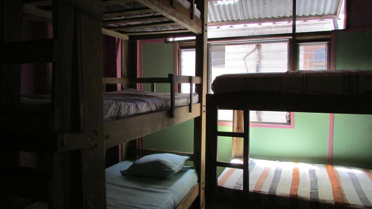 Coconut Hostel Bocas Town Exteriör bild