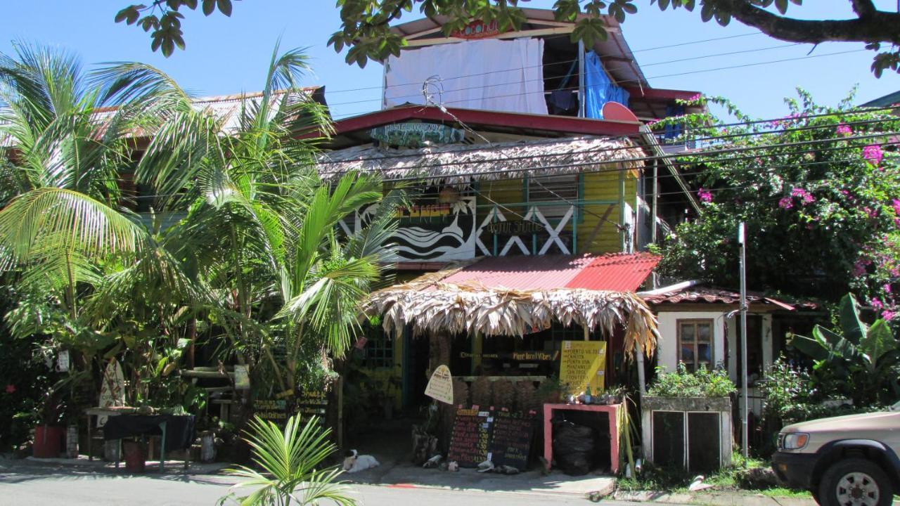 Coconut Hostel Bocas Town Exteriör bild