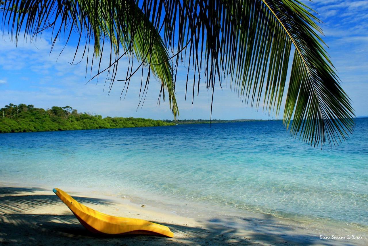 Coconut Hostel Bocas Town Exteriör bild