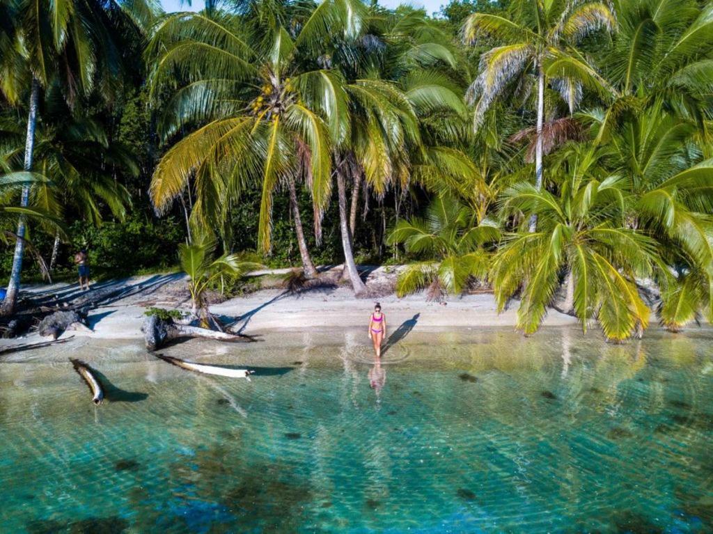 Coconut Hostel Bocas Town Exteriör bild
